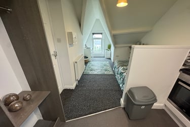 1 bed studio, Malvern Terrace, Brynmill, Swansea, SA20BE - Image 8