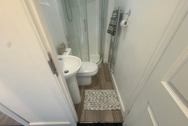 3 bed flat, Malvern Terrace, Brynmill, Swansea, SA20BE - Image 8