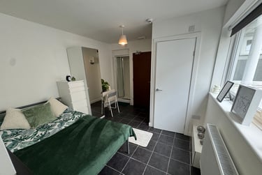 1 bed flat, Bryn Road, Brynmill, Swansea, SA20AR - Image 8