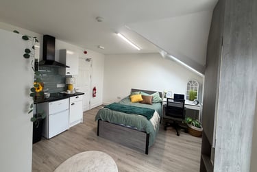 1 bed studio, Bryn Road, Brynmill, Swansea, SA20AR - Image 9