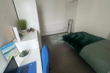 2 bed flat, Finsbury Terrace, Brynmill, Swansea, SA20AH - Image 10