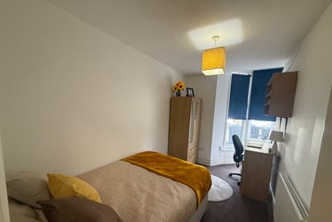 4 bed flat, St Albans Road, Brynmill, Swansea, SA20BP - Image 9