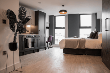 1 bed studio, Hanley Street, Aston, Birmingham, B193SP - Image 6