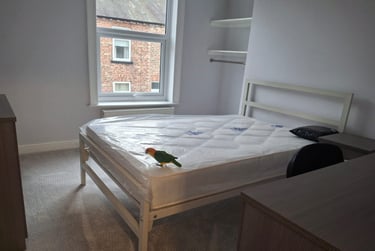 2 bed house, Nelson Street, The Groves, York, YO318NJ - Image 5