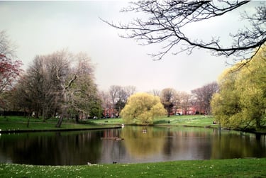 6 bed house, Beechbank Road, Sefton Park, Liverpool, L181HT - Image 6
