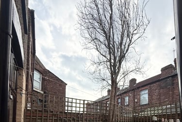 4 bed house, Russell road, Wavertree, Liverpool, L181DE - Image 14