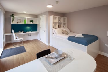 1 bed flat, Tyndalls Park Road, Clifton, Bristol, BS81PG - Image 4