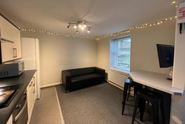 3 bed flat, Parkers Road, Broomhill, Sheffield, S101BN - Image 5