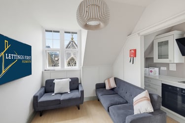 11 bed house, Queen Anne Terrace, North Hill, Plymouth, PL48EG - Image 13