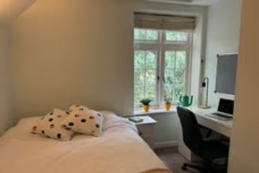 9 bed house, Beech Avenue, Near university, Exeter, EX46HE - Image 8