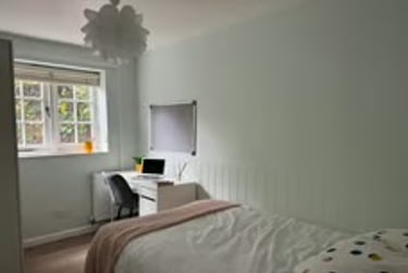 9 bed house, Beech Avenue, Near university, Exeter, EX46HE - Image 9