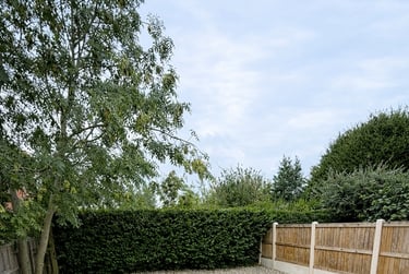 6 bed house, Sandon road, Near kingsway campus, Chester, CH22EP - Image 10