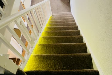 6 bed house, Lucas Avenue, City centre, Exeter, EX46LZ - Image 8