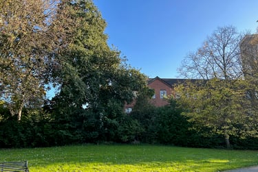 4 bed house, Denison Street, Radford, Nottingham, NG73PH - Image 5