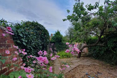 8 bed house, Old Tiverton Road, Old tiverton rd area, Exeter, EX46NG - Image 11