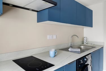 1 bed flat, North Hill, Greenbank, Plymouth, PL48JT - Image 4