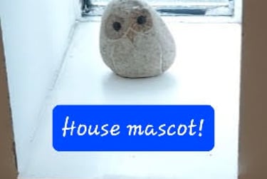 7 bed house, Top of Lisson Grove, Mutley, Plymouth, PL47DN - Image 14