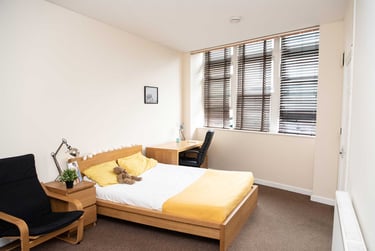 1 bed studio, 14 Furze Hill Road, Mutley plain, Plymouth, PL47JY - Image 5