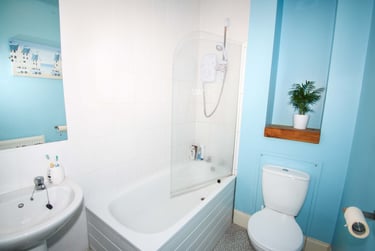 1 bed flat, Lisson Grove, Mutley, Plymouth, PL47DN - Image 4
