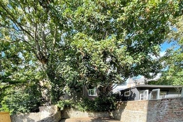 5 bed house, Elm grove, Brighton, BN23ET - Image 10