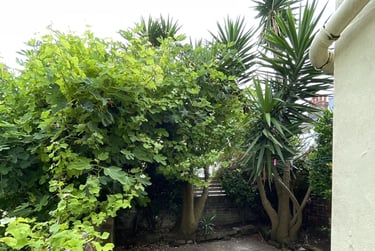 6 bed house, Blaker street, City Centre, Brighton, BN20JJ - Image 12