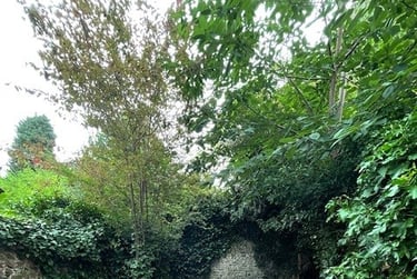 6 bed house, Gladstone place, Lewes road, Brighton, BN23QE - Image 12