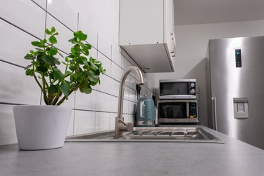 4 bed flat, Denison Street, Radford, Nottingham, NG73PH - Image 2