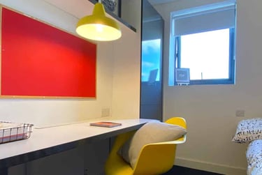Standard Studio - Image 1