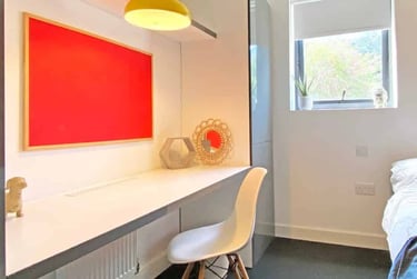Standard Studio Plus - Image 7