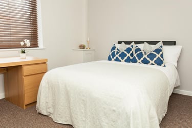 7 bed house, Minny Street, Cathays, Cardiff, CF244ET - Image 3