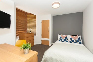 7 bed house, Richard Street, Cathays, Cardiff, CF244DB - Image 4