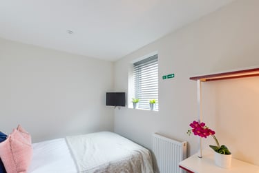 4 bed house, Queen Anne Street, Shelton, Stoke, ST42EQ - Image 4