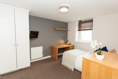7 bed house, Bedford Street, Plasnewydd, Cardiff, CF243DB - Image 5