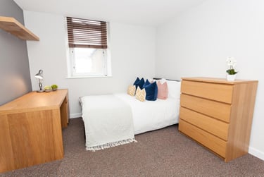 7 bed house, Bedford Street, Plasnewydd, Cardiff, CF243DB - Image 6