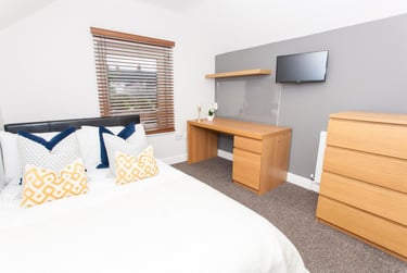 7 bed house, Minny Street, Cathays, Cardiff, CF244ET - Image 4