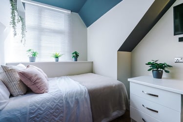 1 bed studio, Flat 15, 160 Upper New Walk, Highfields, Leicester, LE17QA - Image 4