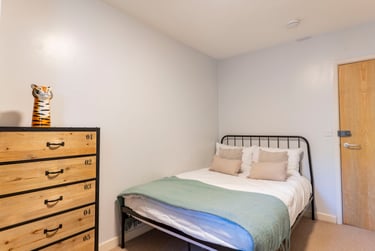 4 bed house, St Clements Lane, St David's, Exeter, EX44DD - Image 9
