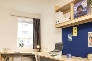 Bronze at Albert Court, 223 London Road, City Centre, Liverpool, L38JD - Image 2