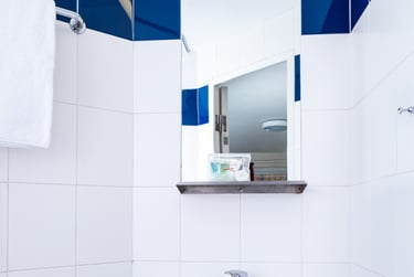 Platinum Plus - Image 2