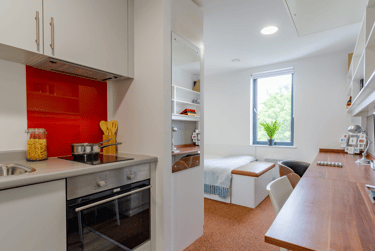 Gold Studio - Image 4