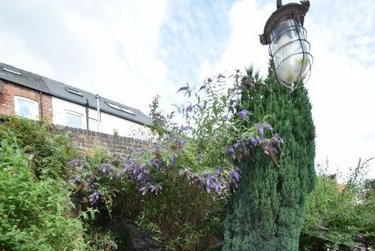 3 bed house, Beehive Road, Crookesmoor, Sheffield, S101EP - Image 13