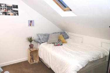 7 bed house, Cathays, Plasnewydd, Cardiff, CF244DL - Image 5