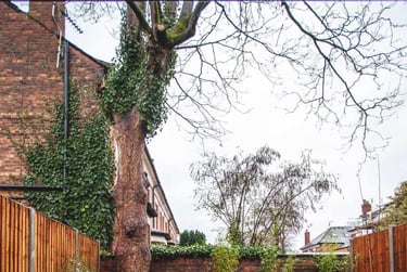 6 bed house, Northern Grove West Didsbury Manchester, West Didsbury, Manchester, M202WL - Image 15