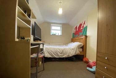 4 bed house, Roath, Plasnewydd, Cardiff, CF243BG - Image 6