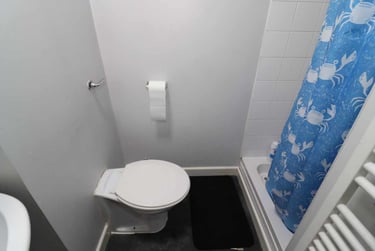 4 bed flat, Cathays, Cardiff, CF244PH - Image 5