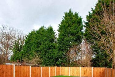 8 bed house, Lees Hall Crescent Manchester, Fallowfield, Manchester, M146XZ - Image 14