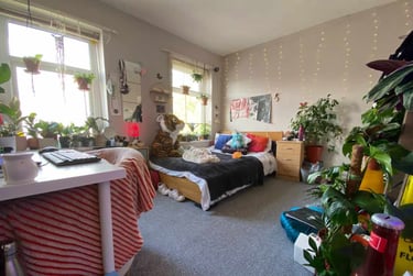 3 bed house, Cathays, Cardiff, CF244BW - Image 3