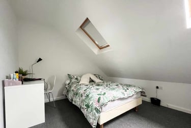 8 bed house, Cathays, Cardiff, CF244DE - Image 5