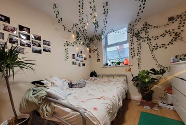 7 bed house, Cathays, Plasnewydd, Cardiff, CF244DL - Image 6