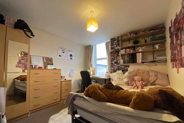 6 bed house, Cathays, Cardiff, CF244EQ - Image 5